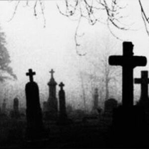 Meet your Posher, Mello